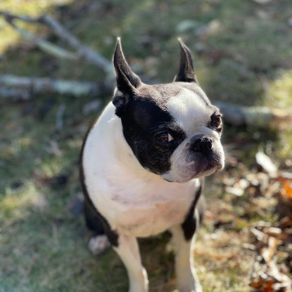 Meet your Posher, Susan - Picture 1 of 1